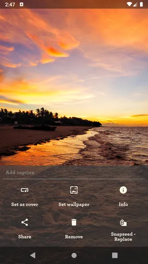 Les Pas  Nextcloud相册应用
